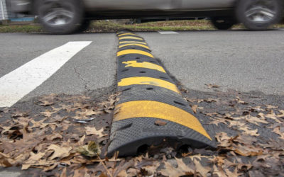 Recession Speedbumps Ahead