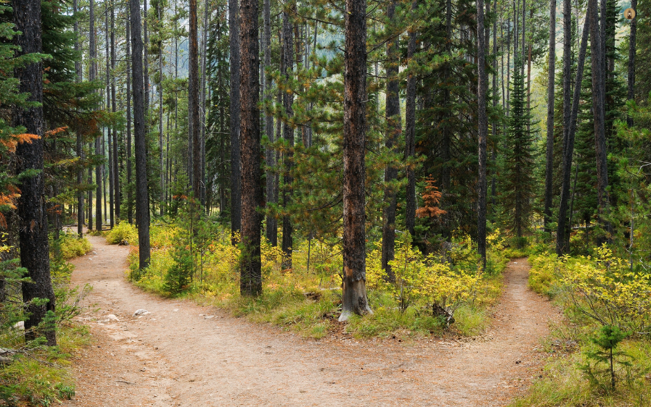 Trying to Read the Market? It Feels Like Hiking Without a Map