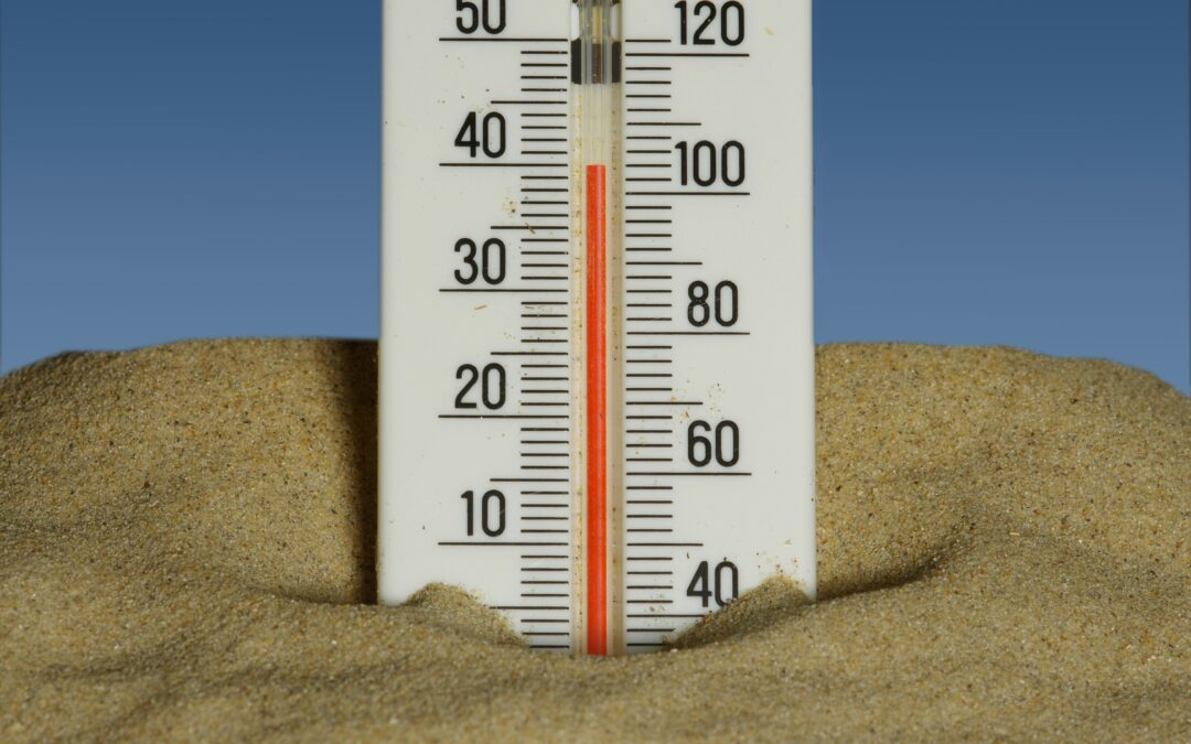 Heat Wave and Hot Stocks: How Investors Can Stay Ahead