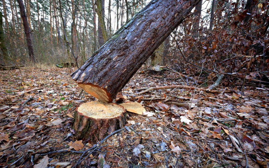Markets React as Fed Shifts Policy, Investors Look Ahead