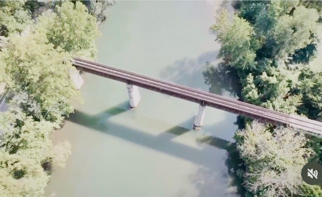 Leveraged Single-Stock ETFs Explained: High Risk, High Reward—or Just Wealth Destroyers?