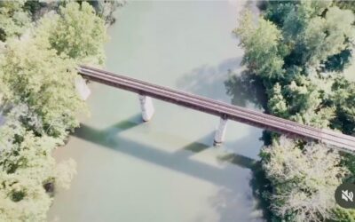 Leveraged Single-Stock ETFs Explained: High Risk, High Reward—or Just Wealth Destroyers?