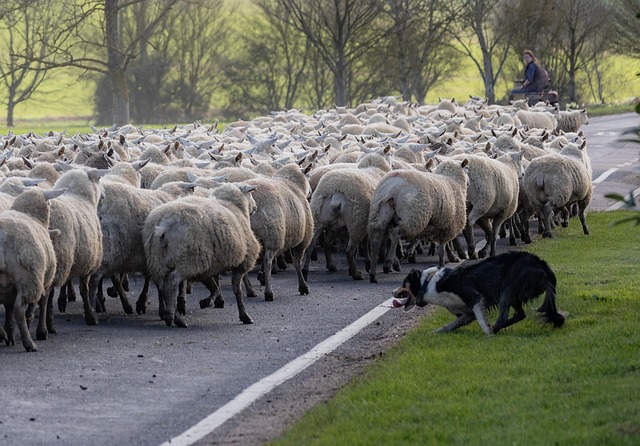 Big Bank Earnings 2025: Bellwether for a Strong U.S. Economy After Fed Rate Cuts