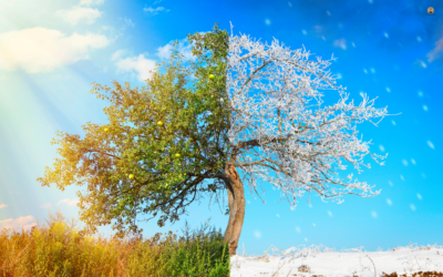 Markets Cool as Investors Digest a Changing Landscape