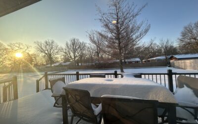 The Dollar’s Decline: Fed Signals, Trump’s Stance, and What Investors Should Watch