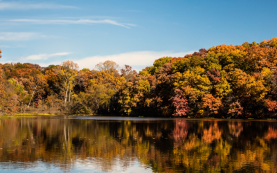 September Says Fall. The Market Says Not So Fast.